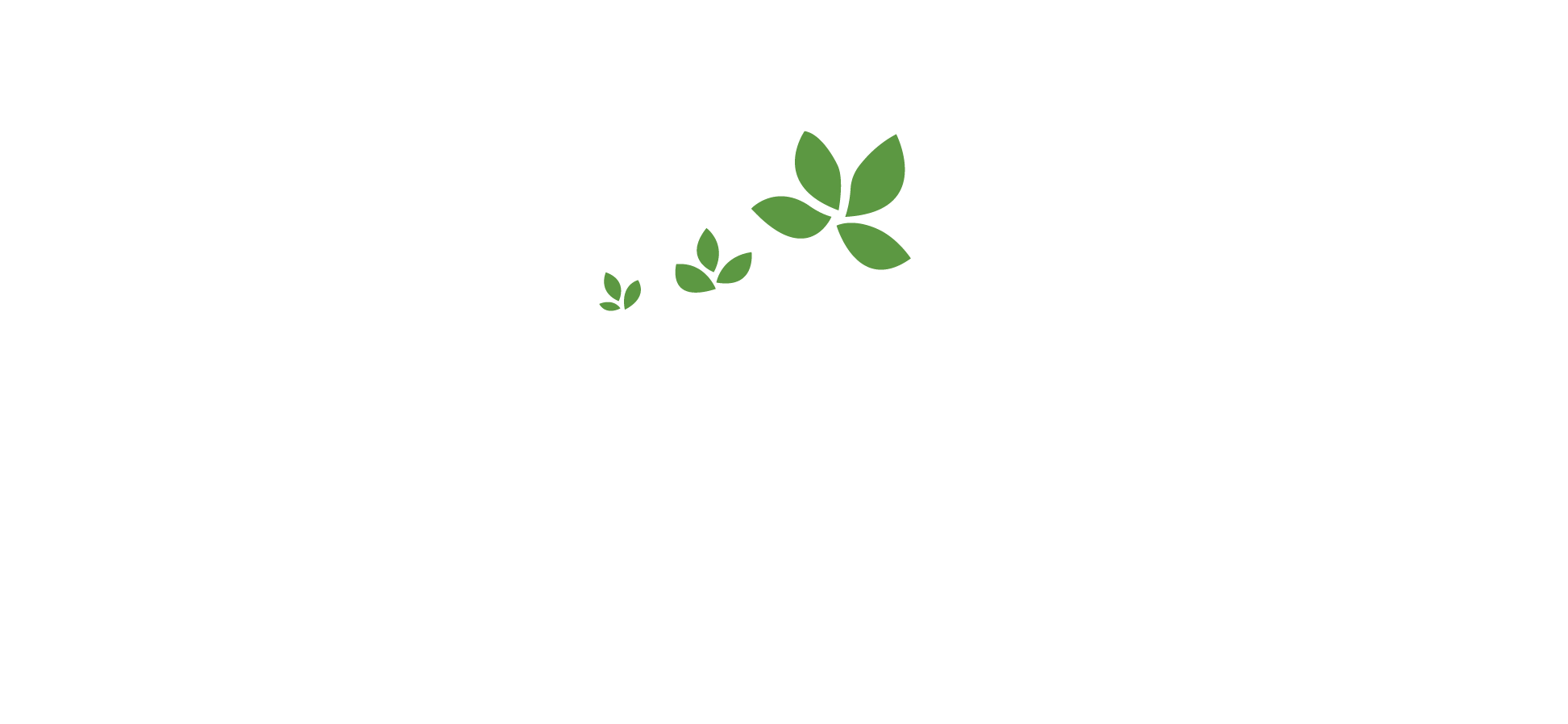 Access Living